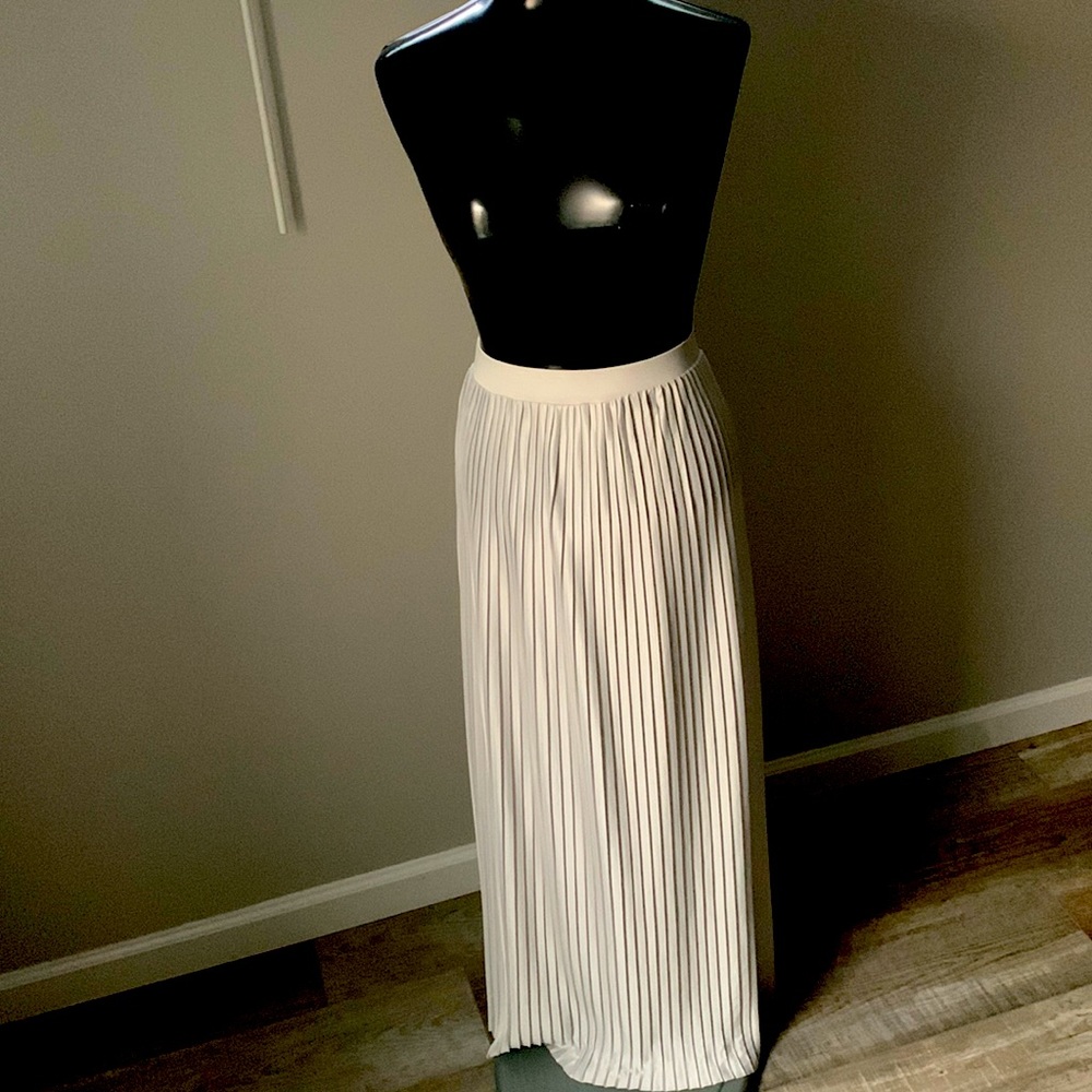 Pleated Skirt